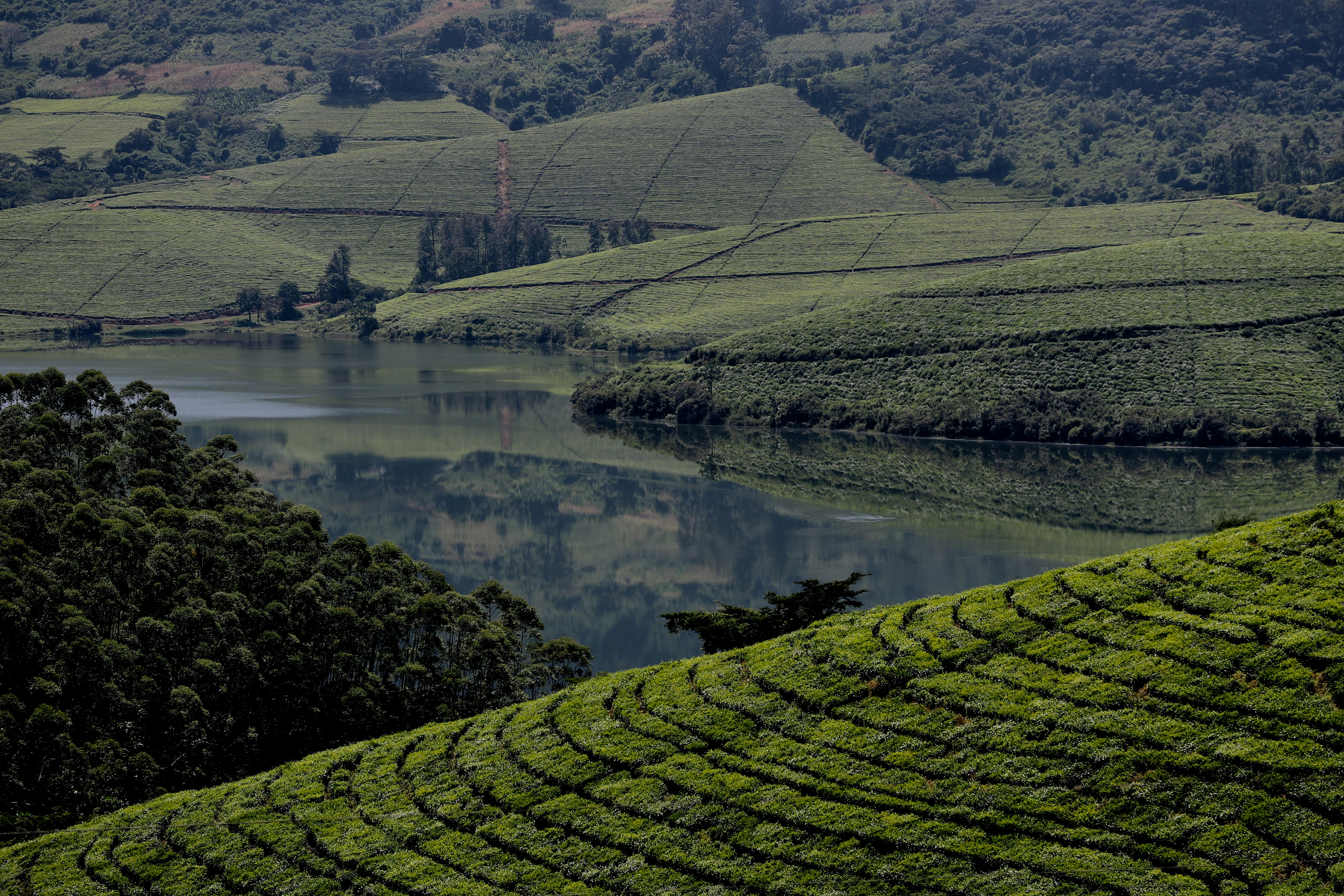 Zimbabwe landscape — representing ZEXCOM's roots and heritage